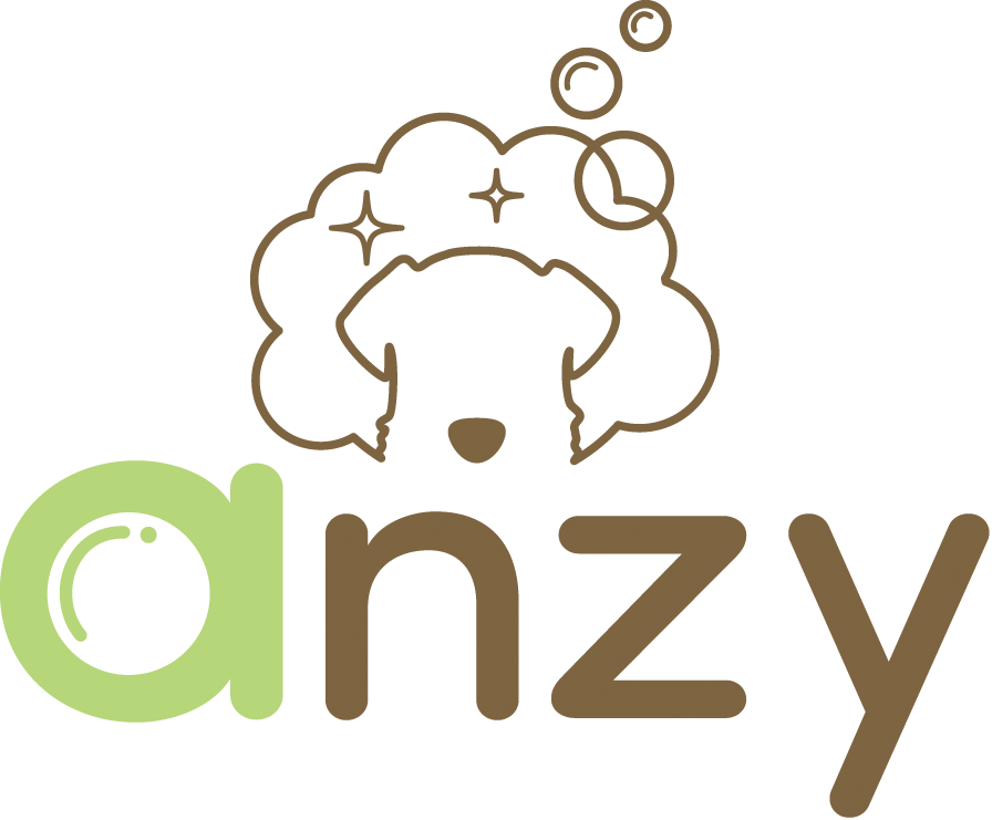 anzy