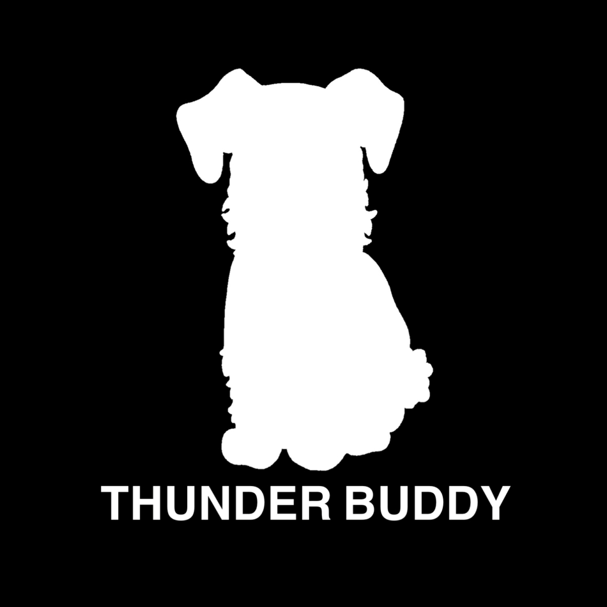 THUNDER BUDDY