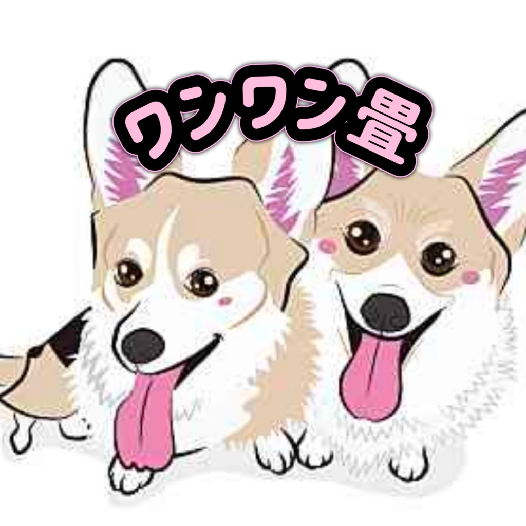ワンワン畳